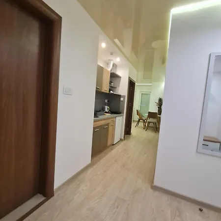 Airport Molko Apartment Surcin